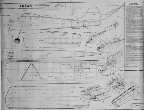 Frog Tutor Plan - Click Image to Close